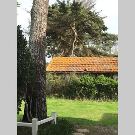 Maison A 300M De La Plage, Quartier Calme 미미장플라즈 외부 사진