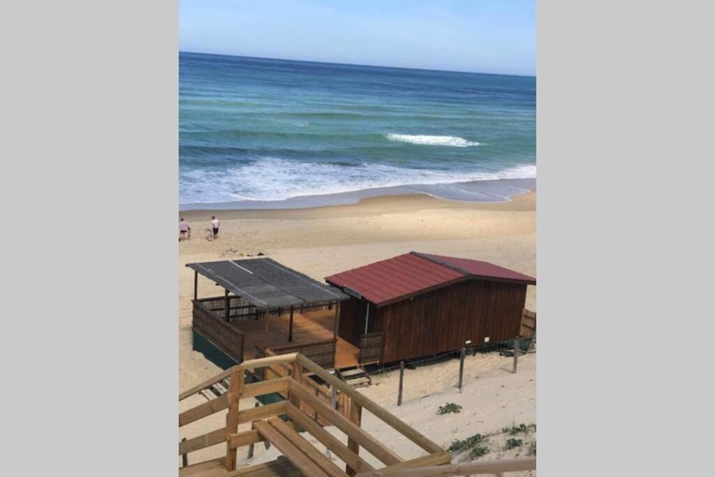 Maison A 300M De La Plage, Quartier Calme 미미장플라즈 외부 사진
