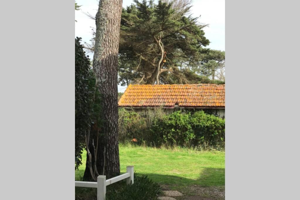 Maison A 300M De La Plage, Quartier Calme 미미장플라즈 외부 사진